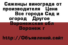 Саженцы винограда от производителя › Цена ­ 800 - Все города Сад и огород » Другое   . Воронежская обл.,Воронеж г.